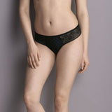 Rosa Faia, ROSEMARY - Shorty, Bellizima