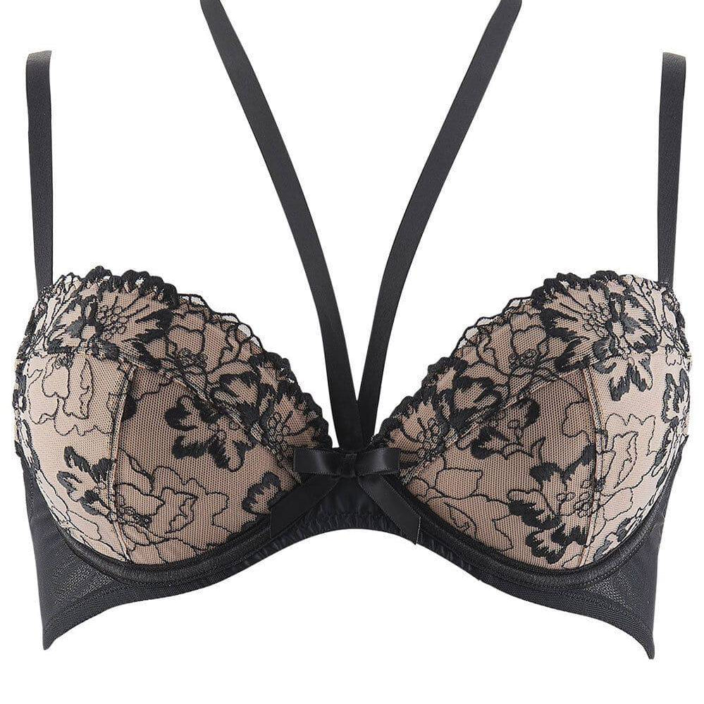 Aubade PUSH-UP BH REVERIE MALICIEUSE