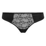 LTD. EDITION STRING*