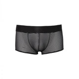 Perlseo, TOKYO BOXER, Bellizima